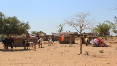 Climate change means hunger in our communities, African women leaders at COP26