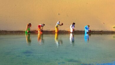 A seat at the table: women’s role in the fight against climate change