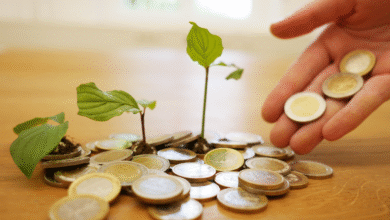 AfDB Invests Million in Renewable Energy Startups to Boost Africa’s Climate Tech Innovation