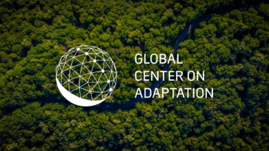Online Executive Training Young Women Leadership on Climate Adaptation