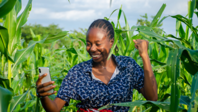 Women in Fintech: Empowering Female Entrepreneurs in Nigeria