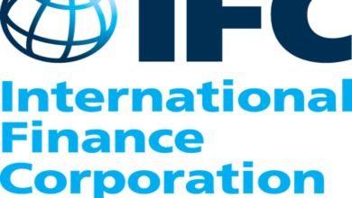 IFC Invites Female Entrepreneurs to Apply for 5,000 Startups Programme in Africa – THISDAYLIVE