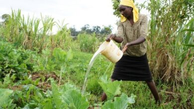 Breaking Barriers for a Thriving Future — Global Issues