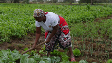 0 million fund to boost Africa’s female fund managers – supporting female entrepreneurs – The Sierra Leone Telegraph