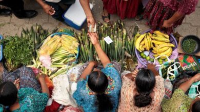 Facts and figures: Economic empowerment