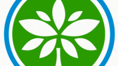 African Women’s Development Fund Grants: Supporting Women-Led Initiatives Across Africa