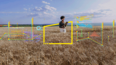 EY SDG Accelerator Targets Women-Led AI Solutions in Africa