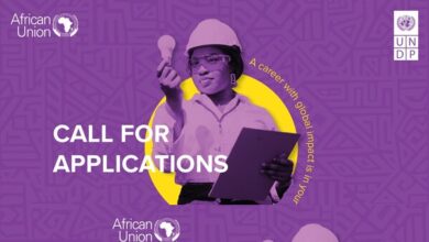 AUC-UNDP African Young Women Leaders Fellowship Programme 2025 at UNDP Headquarters in New York or in a regional or country office (Fully Funded)