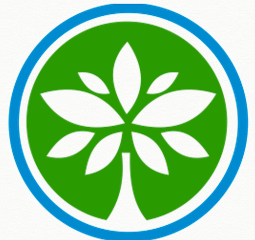 African Women’s Development Fund’s Key Focus Areas: Transforming Women’s Lives Across Africa