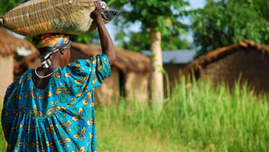 African union asks African governments to remove laws that discriminate women