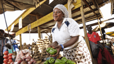 Startups Africa primed to empower, expose over 2000 female entrepreneurs in Africa