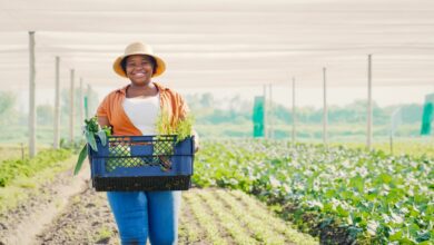 Breaking Barriers And Shaping The Industry