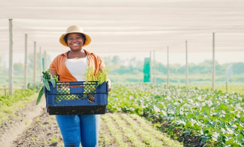 Breaking Barriers And Shaping The Industry