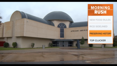 Dallas African American Museum gets M for legacy