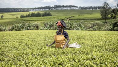 Are Africa-China relations helping over 1 billion women? Are Africa-China relations helping over 1 billion women?