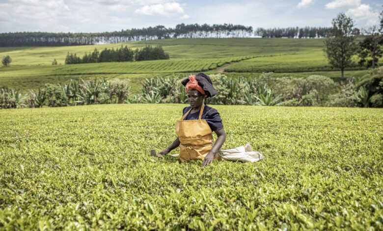 Are Africa-China relations helping over 1 billion women? Are Africa-China relations helping over 1 billion women?