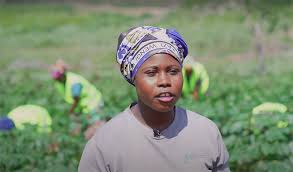 Rihanna-Backed Fund Eyes Kenya’s Women Entrepreneurs in Climate Innovation Push Rihanna-Backed Fund Eyes Kenya’s Women Entrepreneurs in Climate Innovation Push