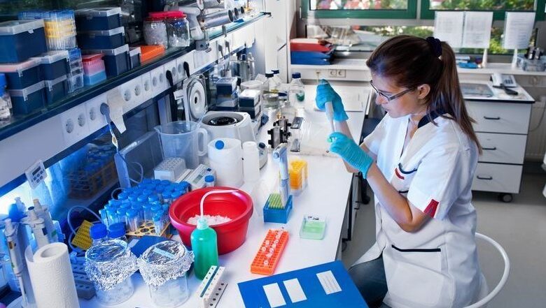 Finalists for the 2025 Women in Science Awards