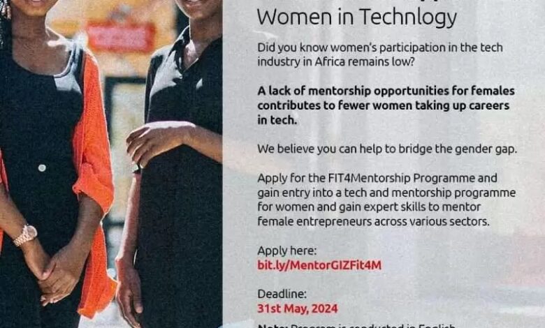 Call For Applications: FIT4Mentorship Mentor Program